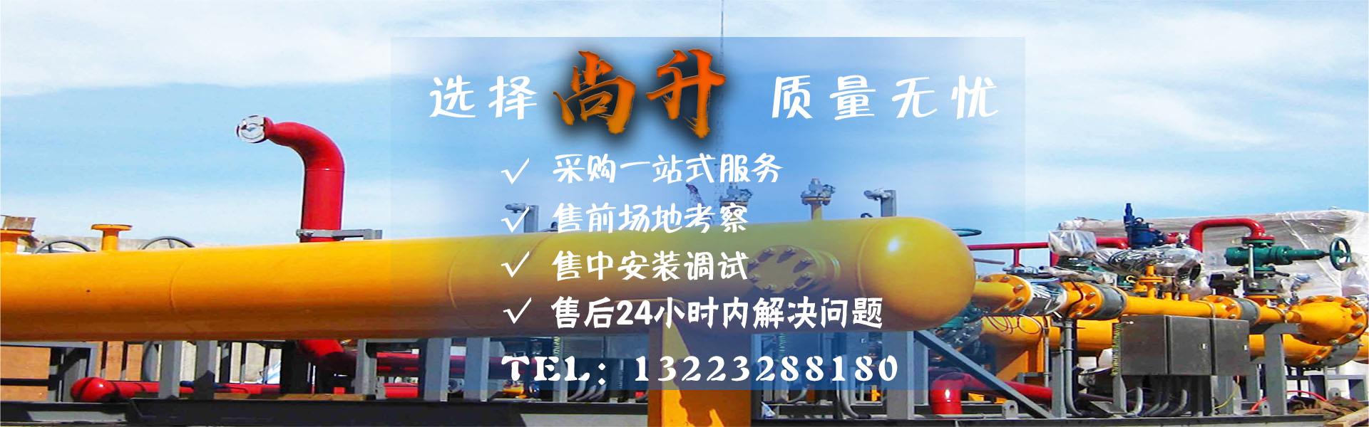 LNG气化撬 CNG减压撬 CNG瓶组 天然气调峰站